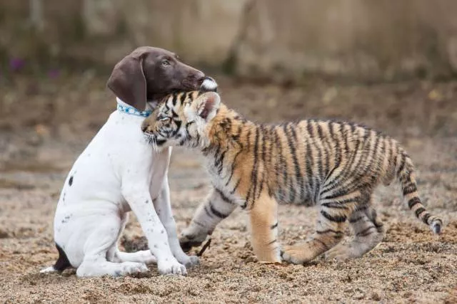 Picdump 132 - #37 