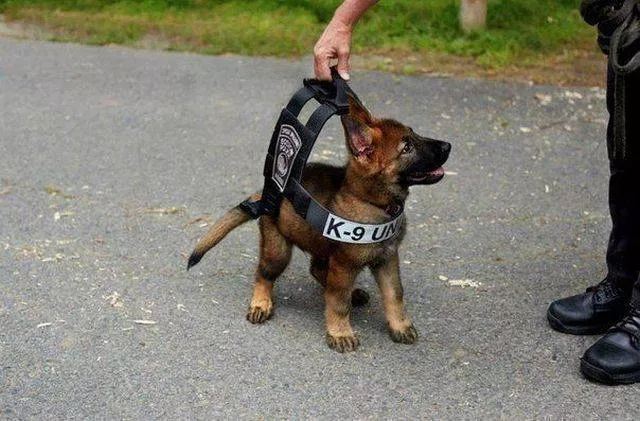 Picdump 132 - #4 