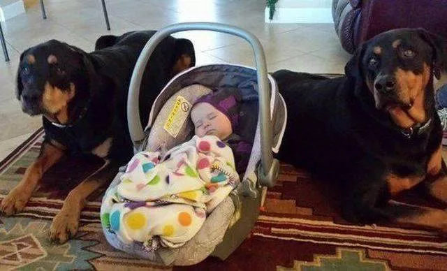 Picdump 132 - #44 