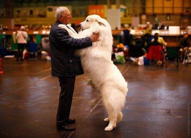 Picdump 132 - #45 