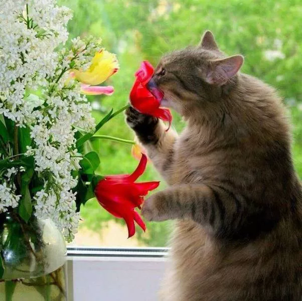 Picdump 132 - #5 