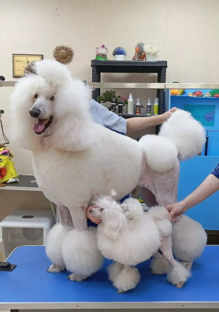 Picdump 1059 - #31 
