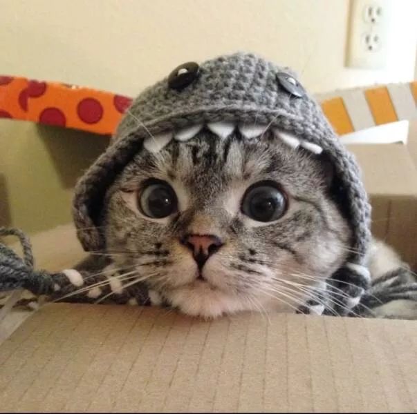 Picdump 1059 - #54 
