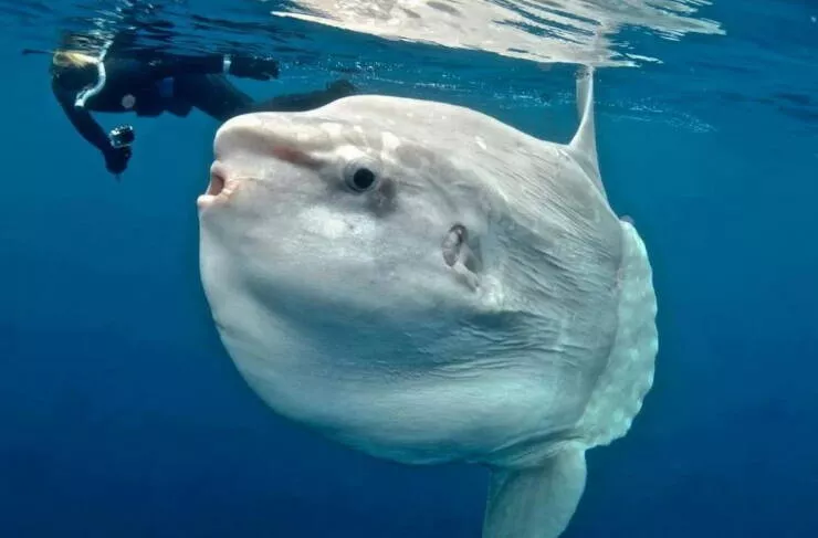 Picdump 1060 - #14 