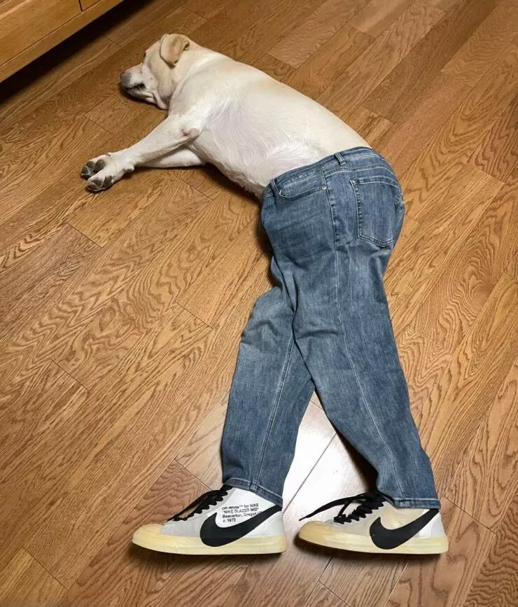 Picdump 1060 - #49 