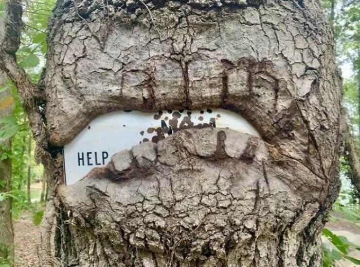 Choses effrayantes trouvees au fond des bois - #10 Un arbre a poussé autour d’un panneau, ne laissant visible que le mot « Help »