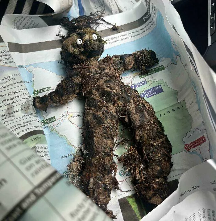 Creepy discoveries found deep in the woods - #16 Voodoo Doll Found/Offered in Hoh Rainforest