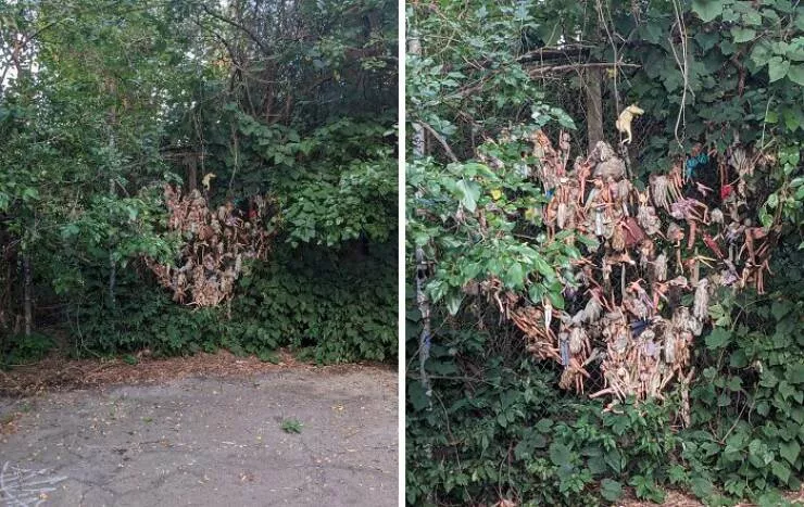 Choses effrayantes trouvees au fond des bois - #19 Autel Barbie caché dans les bois derrière le parc