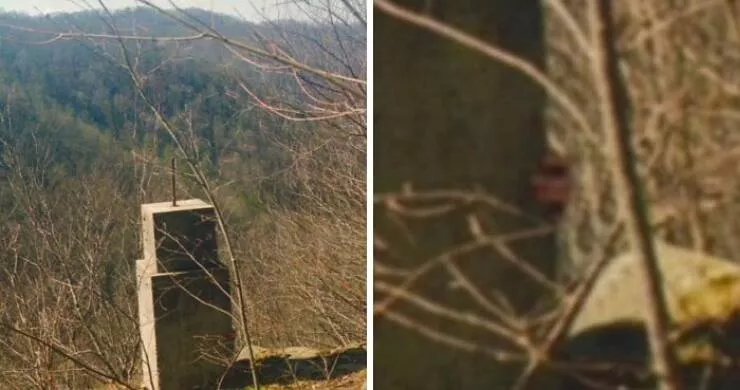 Choses effrayantes trouvees au fond des bois - #20 Film développé après une randonnée en montagne — est-ce une main ?