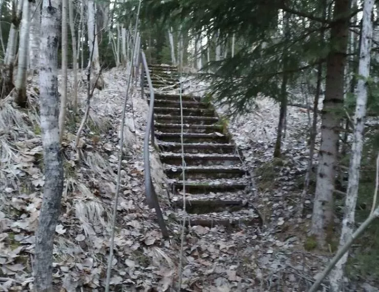 Choses effrayantes trouvees au fond des bois - #22 Découverte d’un escalier au crépuscule menant nulle part