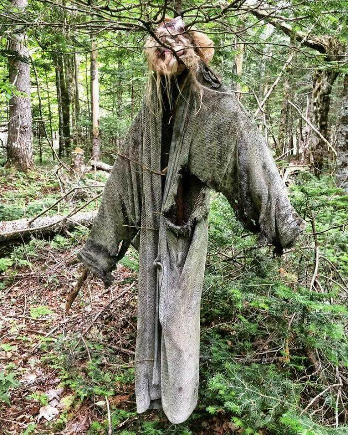 Creepy discoveries found deep in the woods - #24 Found in the Heart of the Woods