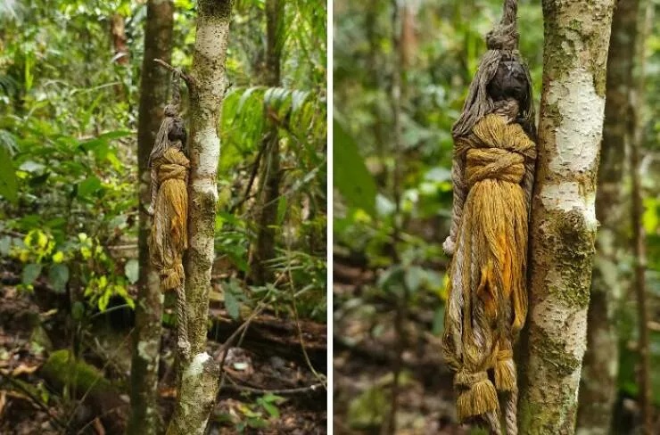Choses effrayantes trouvees au fond des bois - #27 Rencontré un totem mystérieux dans une forêt tropicale australienne loin de tout sentier — Dois-je m’inquiéter ?