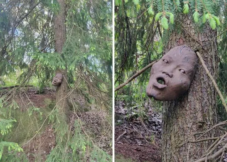 Choses effrayantes trouvees au fond des bois - #3 Vu près de chez moi sur un sentier — il n’était pas là la semaine dernière