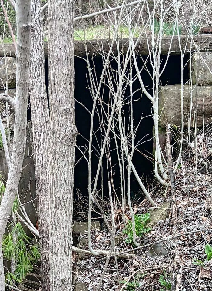 Choses effrayantes trouvees au fond des bois - #32 Trouvé ceci sur ma propriété en Appalachie