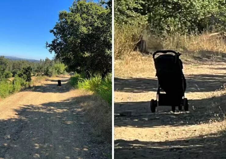Creepy discoveries found deep in the woods - #33 Do Abandoned Baby Strollers Left on Hiking Trails Count as Creepy? Definitely Spooked Us — We Were Nervous to See What Was Inside and Walked Around It