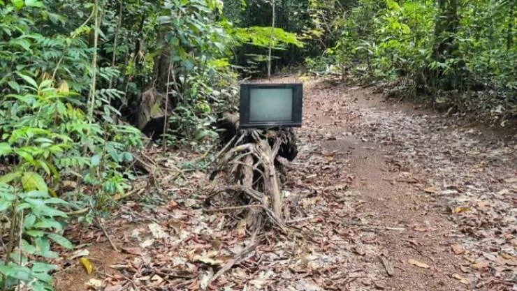 Creepy discoveries found deep in the woods - #36 This TV Dad Found Deep in the Jungle of Guyana