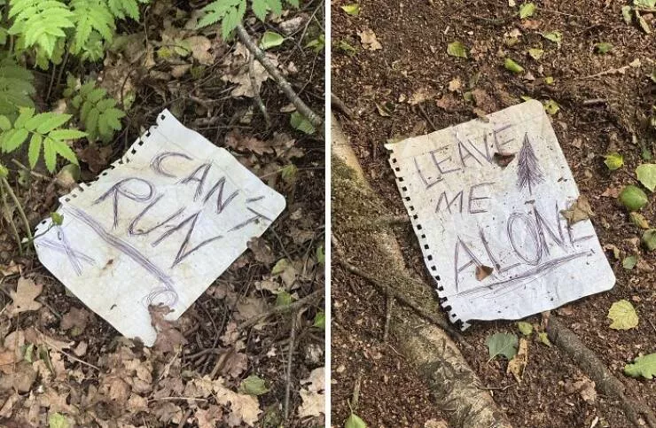 Choses effrayantes trouvees au fond des bois - #37 Découvert en promenant le chien dans les bois