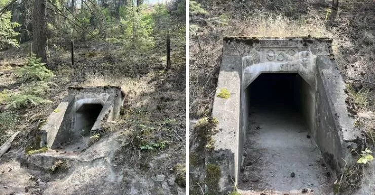 Creepy discoveries found deep in the woods - #42 Found Something Eerily Creepy to Explore