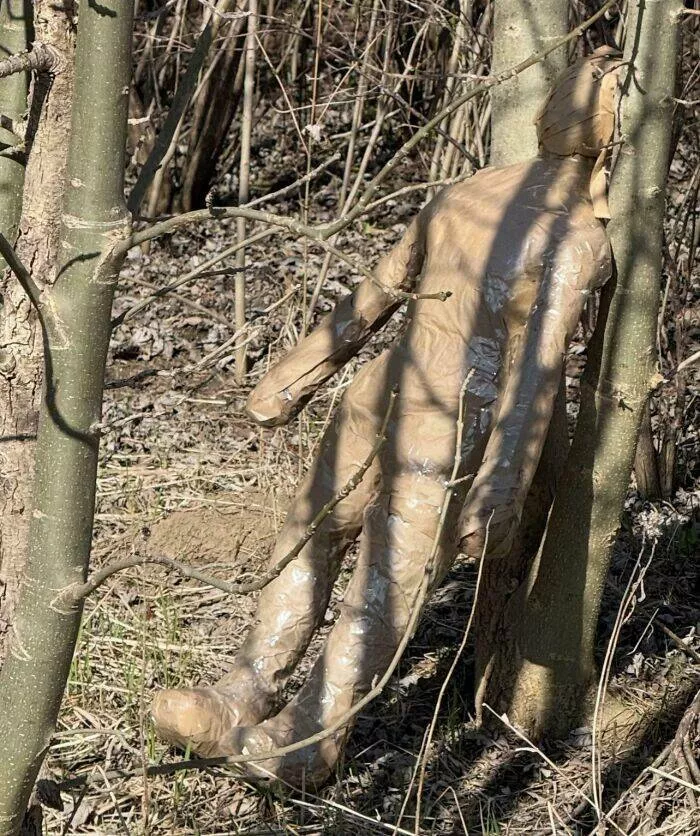 Choses effrayantes trouvees au fond des bois - #44 Je viens de trouver ça dans la forêt près de chez moi Choses effrayantes trouvees au fond des bois - #44 Je viens de trouver ça dans la forêt près de chez moi