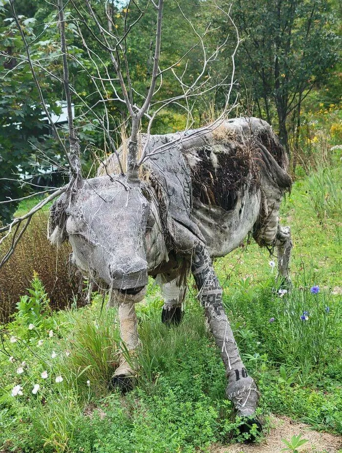 Choses effrayantes trouvees au fond des bois - #7 Découvert dans les bois près de Grand Marais, Minnesota