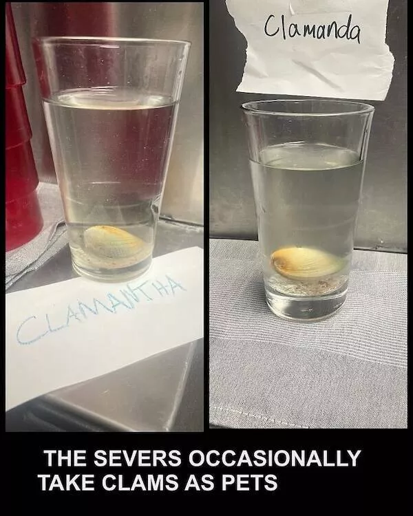 Memes cooked to michelin standards - #28 