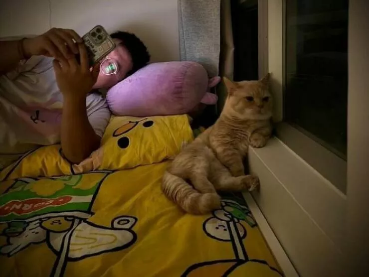 Whiskers chaos and cuteness - #36 