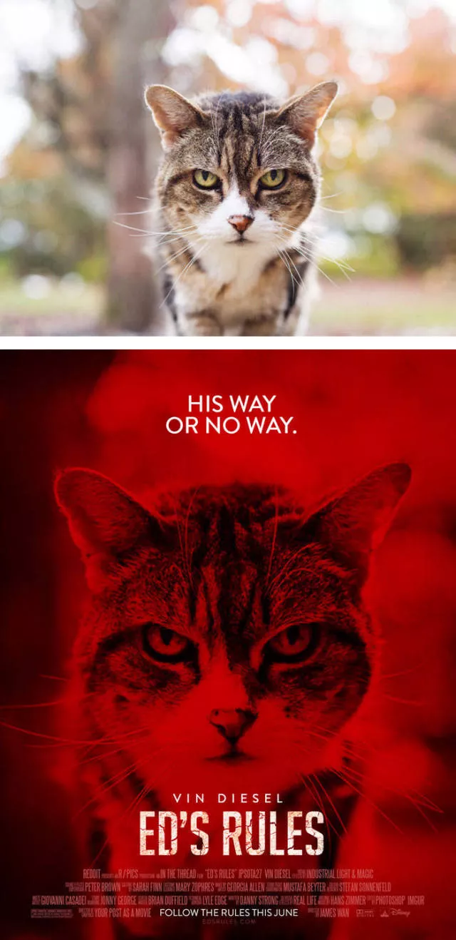 Common photos turned movie posters - #31 