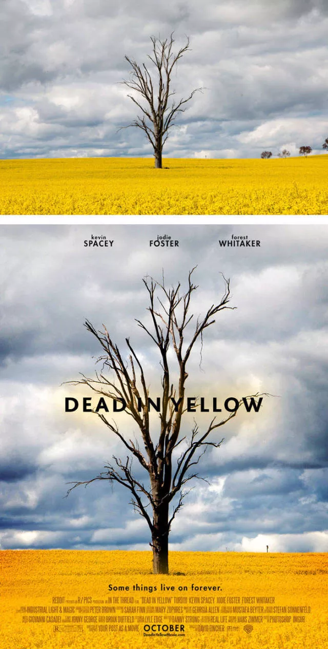 Photos ordinaires transformees en affiches de cinema - #9 