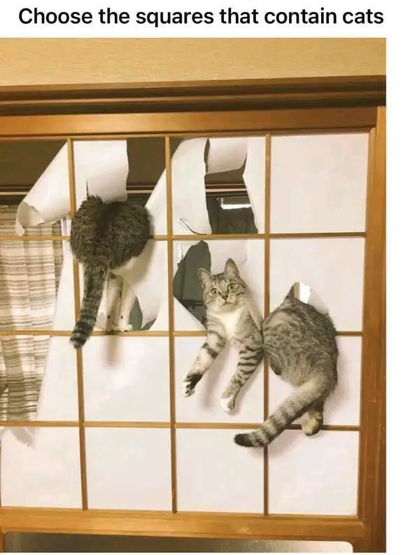 Picdump 1061 - #32 