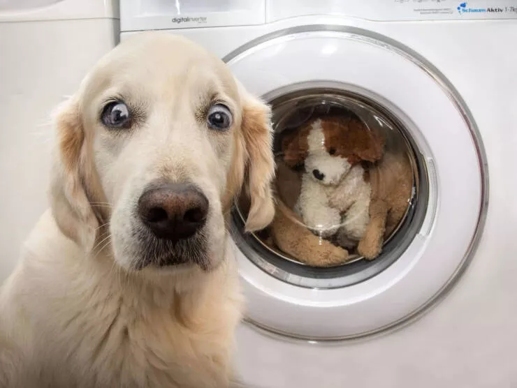 Picdump 1061 - #33 