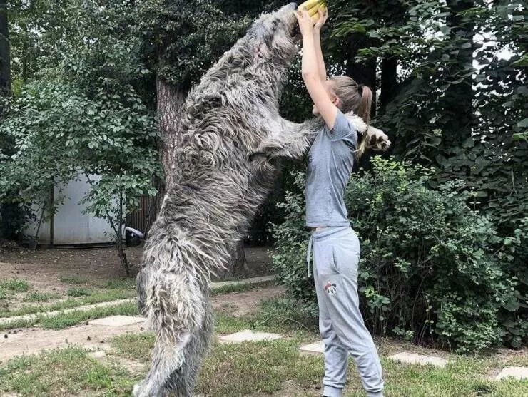 Picdump 1061 - #29 