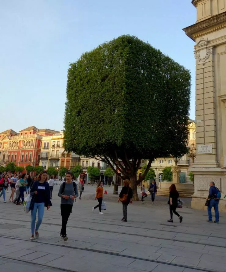 Picdump 1061 - #43 