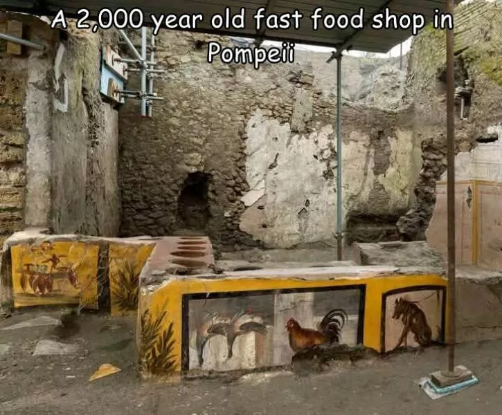 Picdump 1061 - #5 