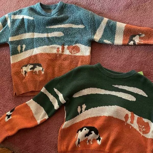 Against all odds stories of incredible fortune - #17 Found my old favorite sweater in my current size