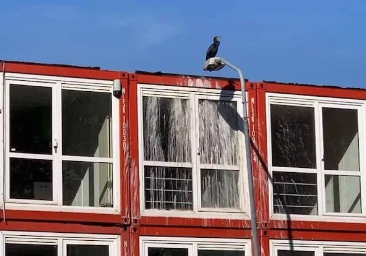 That escalated quickly - #14 