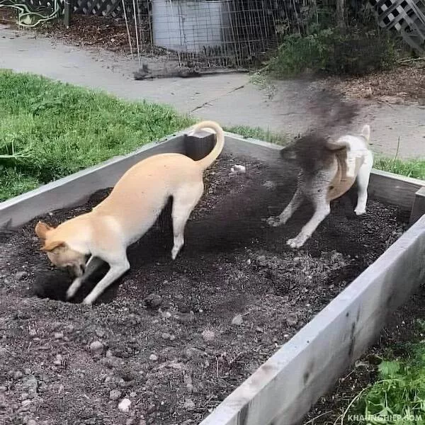 That escalated quickly - #26 
