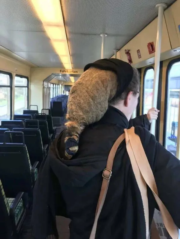 Hairstyle fails that challenge common sense - #6 