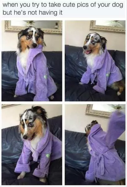 Picdump 133 - #32 