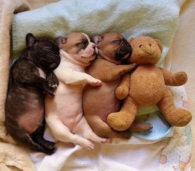 Picdump 133 - #56 