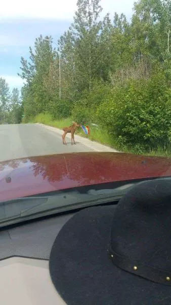 Picdump 133 - #64 