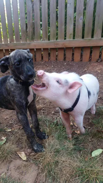 Picdump 133 - #79 