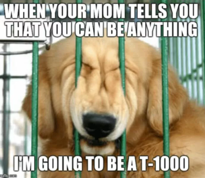 Memes incoming this is just the beginning