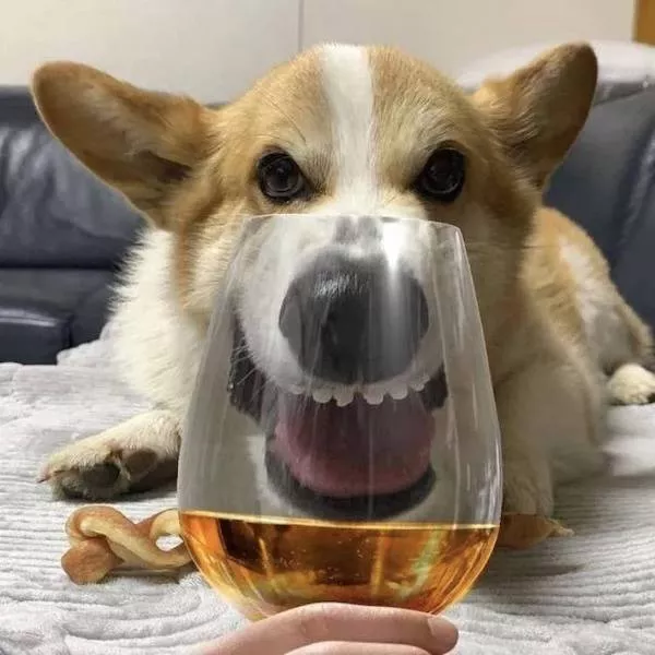 Raising glasses raising heat - #14 