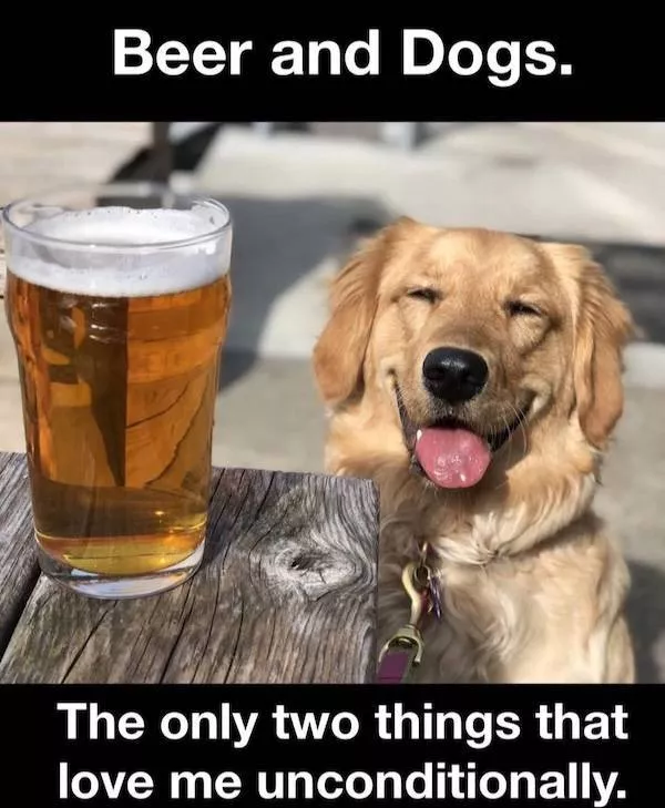 Raising glasses raising heat - #9 