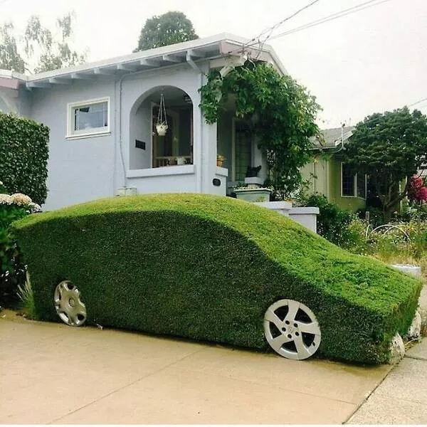 Truly impressed and amazed - #10 