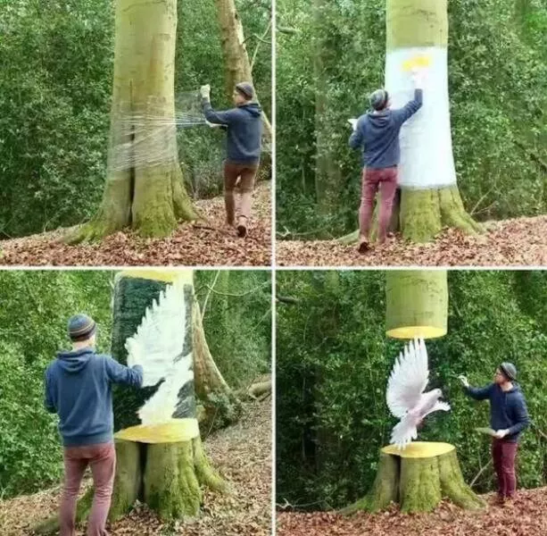 Truly impressed and amazed - #28 