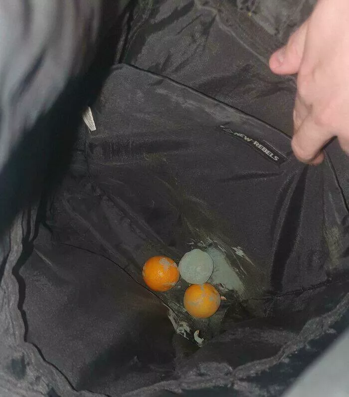 Oublis epiques qui ont rapidement degenere - #11 Trois mandarines oubliées dans mon sac à dos
