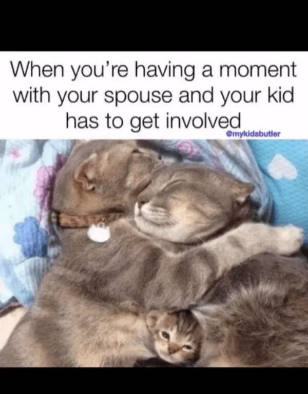 Love laughter and striking accuracy - #1 