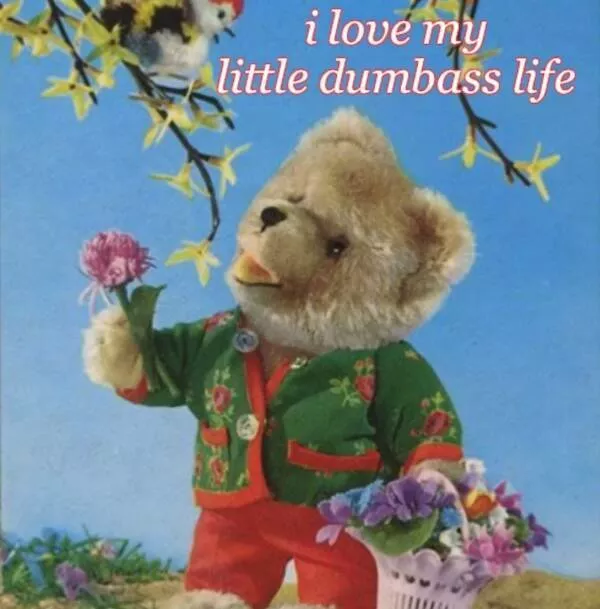 Pictures that radiate positive energy - #1 