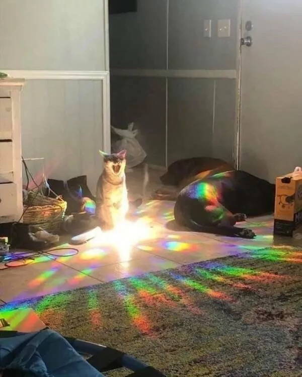 Pictures that radiate positive energy - #35 Pictures that radiate positive energy - #35